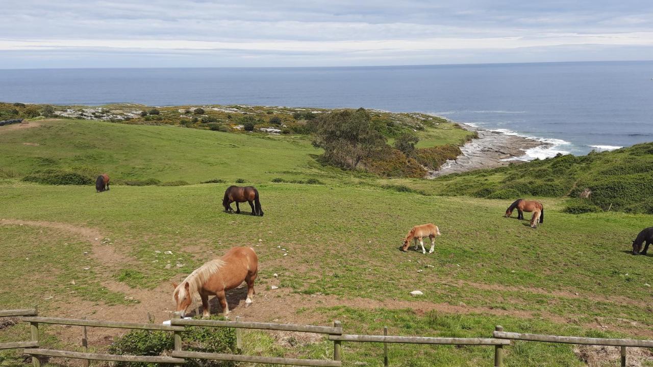 Posada Punta Linera San Vicente De La Barquera Exteriör bild